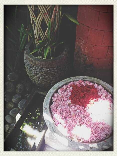 Кулинарные сочетания: водоросли и морепродукты