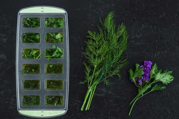 Использование ароматных трав в вегетарианских рецептах