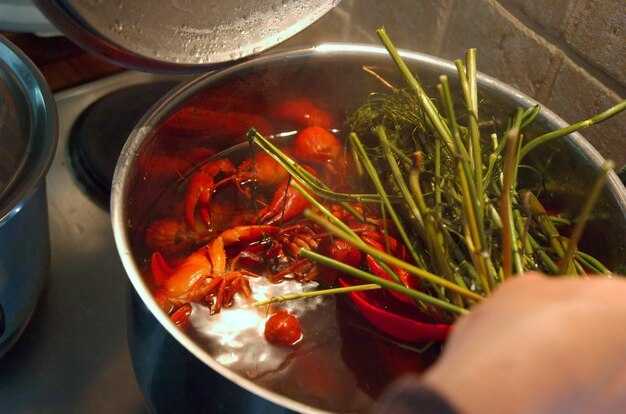 Уникальные вариации солянки сборной