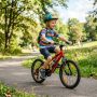 От чего зависит цена детского велосипеда и как выбрать оптимальный вариант