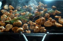 Как правильно варить свежие грибы для сохранения их вкуса и пользы