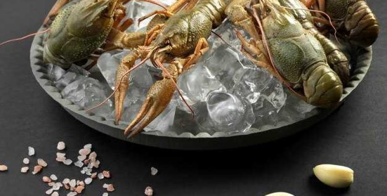 Как правильно варить замороженных раков чтобы они получились вкусными и аппетитными