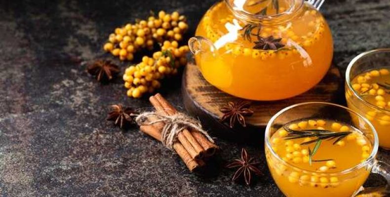 Как заварить облепиховый чай из свежих ягод для укрепления здоровья