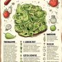 Необычные рецепты салата для любого повода вкусно и просто