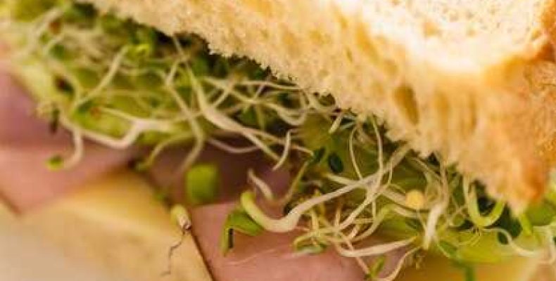 Простой и вкусный рецепт сэндвича с ветчиной и плавленым сыром для перекуса
