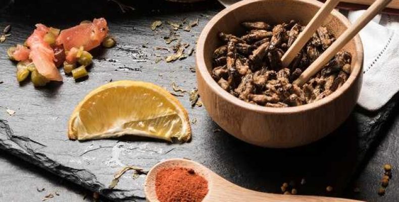 Простой и вкусный рецепт скиса китай с секретами приготовления и подачи