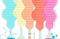 Как приготовить шампанское и узнать его химическую формулу шаг за шагом