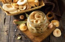 Вкусные рецепты маринования грибов — приготовьте дома шедевры из леса