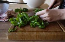 Вкусный рецепт базилика райхон — как вырастить и использовать в кулинарии