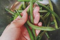 Вкусный рецепт бланшированной стручковой фасоли — приготовление, советы и польза
