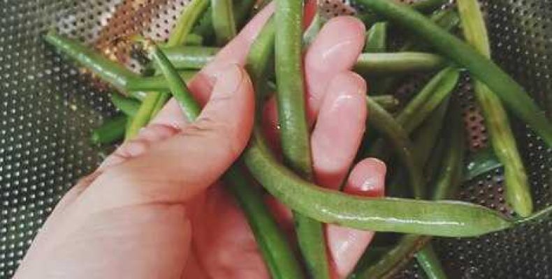 Вкусный рецепт бланшированной стручковой фасоли — приготовление, советы и польза